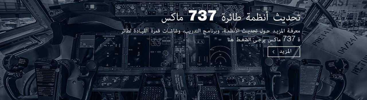 737 Max Software