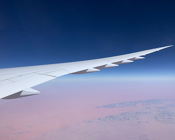 Closeup view of wing