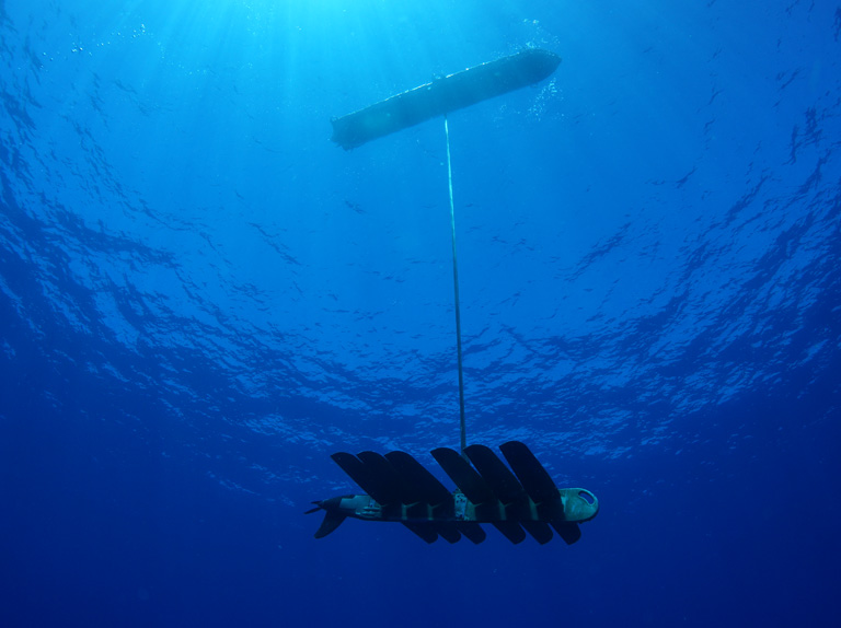 Liquid Robotics enables persistent ocean surveillance with its Wave Glider Uncrewed Surface Vehicle.